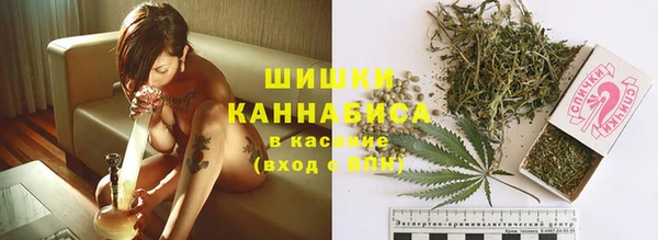 трава Богданович