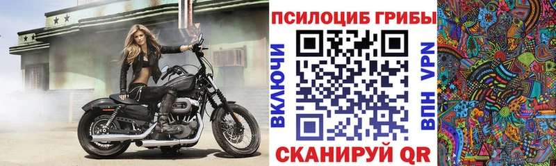 Галлюциногенные грибы мицелий  продажа наркотиков  Сертолово 