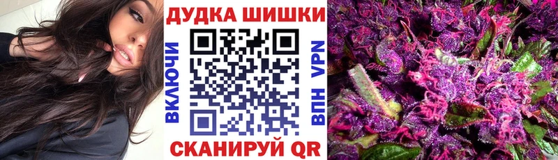Марихуана план  купить наркоту  Сертолово 